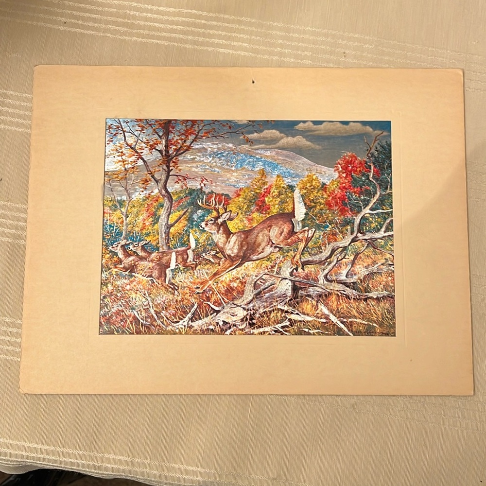 Dufex Deer Print